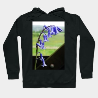 English Bluebells - Hyacinthoides non-scripta Hoodie